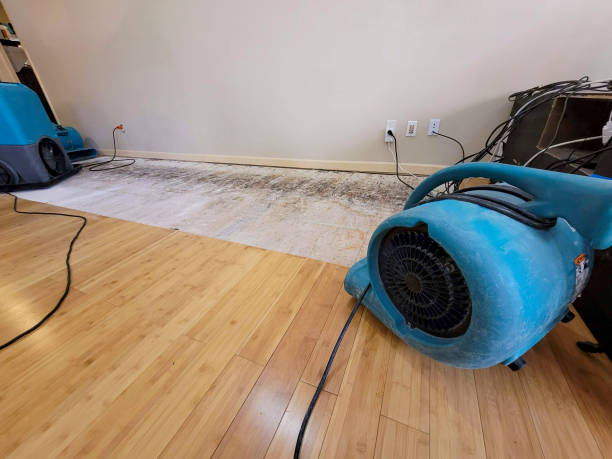 Professional Sewage Cleanup technician working in Waldron, MI